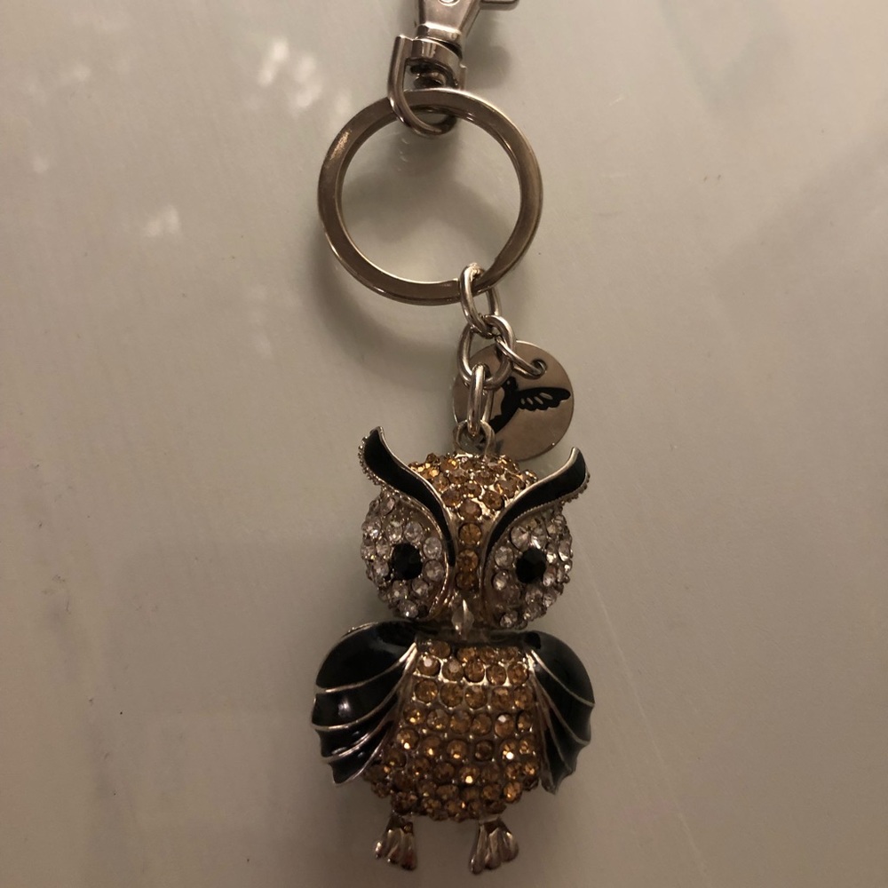 Owl key chain